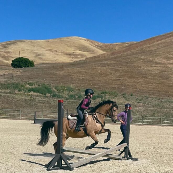 horseback riding lessons jumping