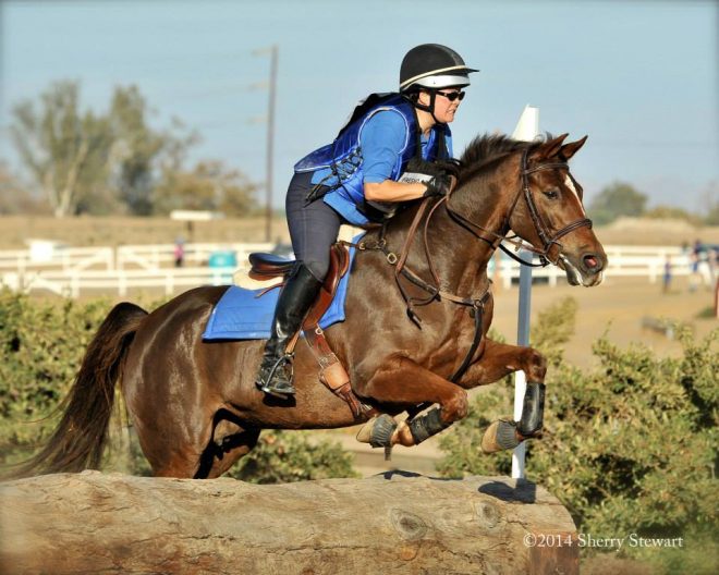 horseback riding jumping