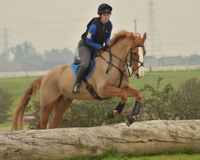 horseback riding jumps