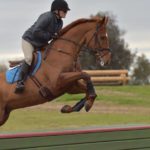 horse jumping