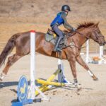 horseback riding jumping