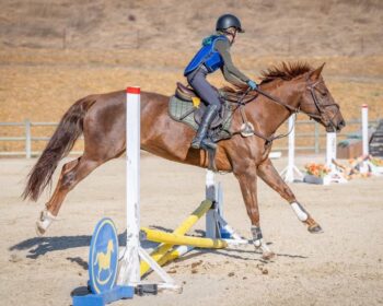 horseback riding jumping